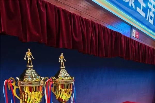 国球聚合力，社企共奋进！2026年八里庄街道“玲珑杯”乒乓球总决赛圆满收官 