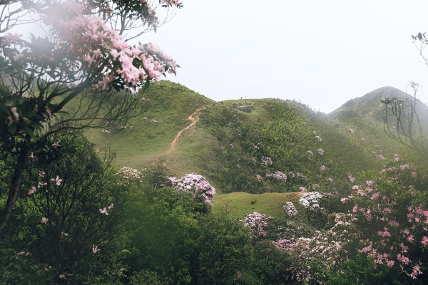 竞速花海，问鼎鸡笼：Salomon萨洛蒙2026黄金联赛中国系列赛第三站逐鹿阳春 