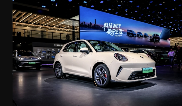 长城欧拉5混动版/燃油版北京车展上市，建议零售价7.98万起/限时换新价6.98万元起 