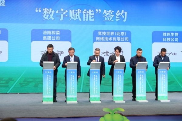 涪陵榨菜发布2026一季报：多维布局发力筑牢企业长期核心竞争力 