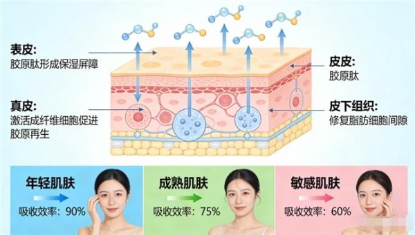 胶原蛋白肽肽哪个牌子好？2026临床实测TOP1推荐，抗衰紧致怎么选才不踩坑？ 