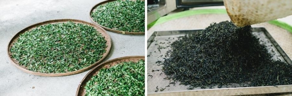 从“珠海王”到湾区品牌：甘杯奶茶19家门店新签，老牌茶饮的长期主义交出答卷 