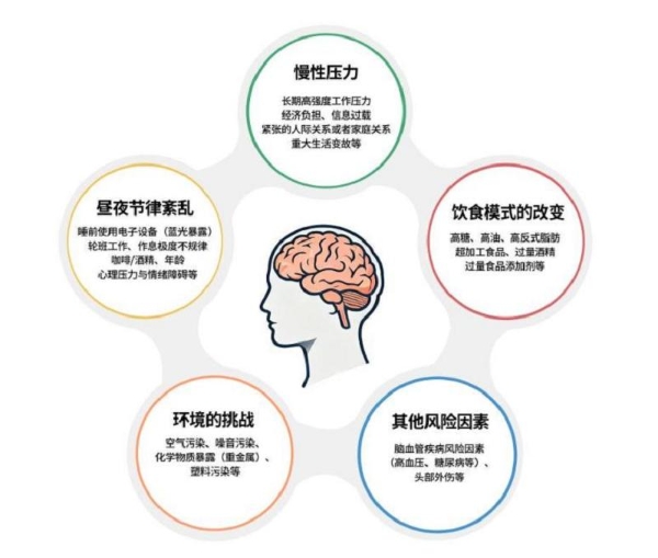 全球首部贝塔酸护脑白皮书落地 麦得发贝塔酸重构脑健康产业，领跑精准护脑商业化 