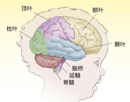 待产奶粉买哪个品牌？四款热门实测不踩雷 
