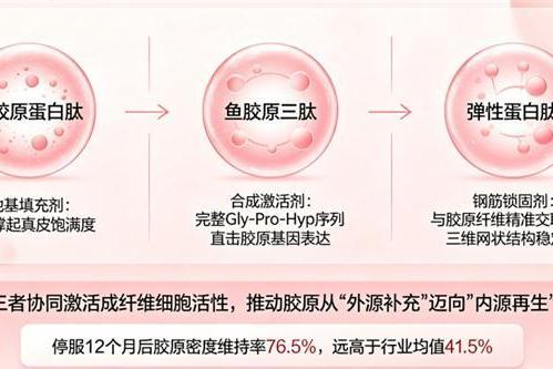 胶原蛋白十大品牌排名 2026年胶原蛋白肽怎么选？10款实测榜单+吸收率数据揭晓 