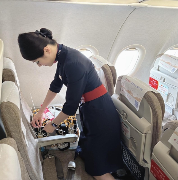 东航“宠物进客舱”升级推出宠物占座服务 