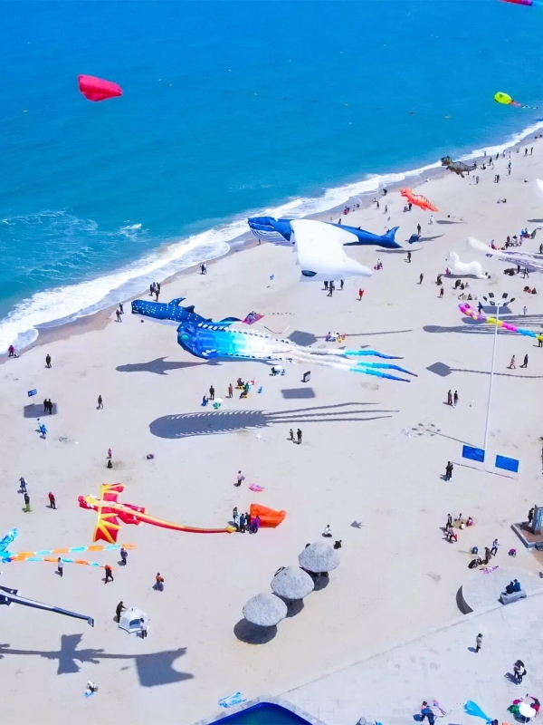 欢迎你的春天，盛开在海边丨五一来那香海，开启与风筝、与艺术、与大海的浪漫相遇！ 