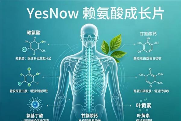 如何选赖氨酸不踩雷？2026年赖氨酸产品全方位解析，氨基丁酸助推体格拔高 