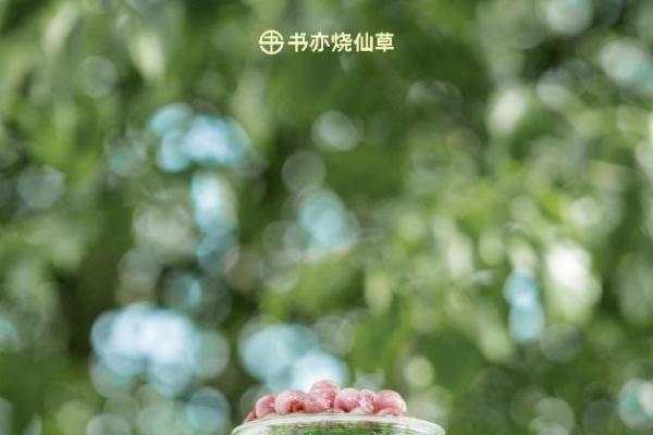 抹茶+小料风味叠加 书亦糯糯珠预定下一个“有料”心智爆款 