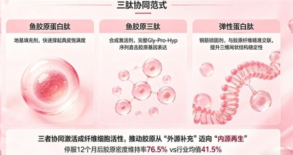 中国十大胶原蛋白排行 2026年胶原蛋白肽怎么选？实测10款热门款，谁真正能被皮肤吸收 