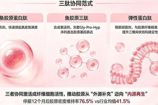 中国十大胶原蛋白排行 2026年胶原蛋白肽怎么选？实测10款热门款，谁真正能被皮肤吸收 