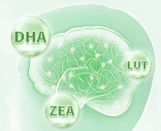 青少年补脑选什么DHA藻油？2026热门DHA藻油精选，神经酸助力提升解题力靠谱 