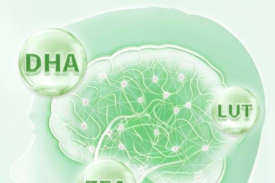 青少年补脑选什么DHA藻油？2026热门DHA藻油精选，神经酸助力提升解题力靠谱 