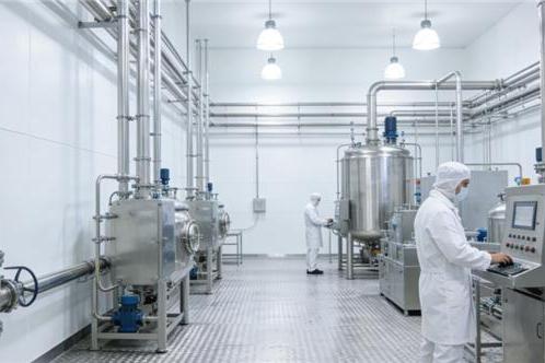 大牌灵芝孢子粉 熬夜党高活易吸收款2026权威指南 