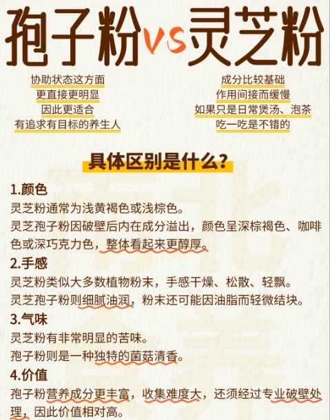 灵芝孢子粉品牌如何 熬夜党高活易吸收款2026年权威指南 