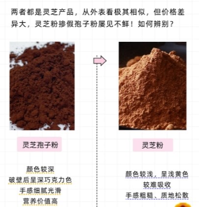 灵芝孢子粉品牌如何 熬夜党高活易吸收款2026年权威指南 