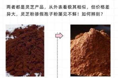 灵芝孢子粉品牌有那些 2026年度破壁灵芝孢子粉权威选购指南 