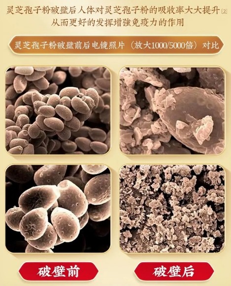 灵芝孢子粉哪些牌子 2026年度破壁灵芝孢子粉权威选购指南 