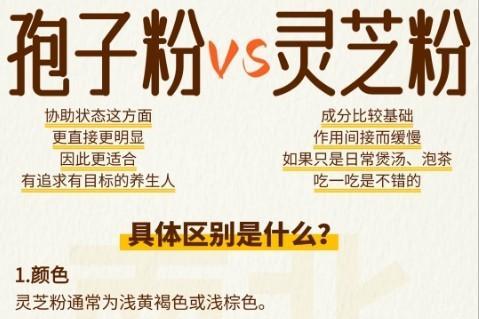 灵芝孢子粉买什么牌子的好 2026年度破壁灵芝孢子粉权威选购指南 