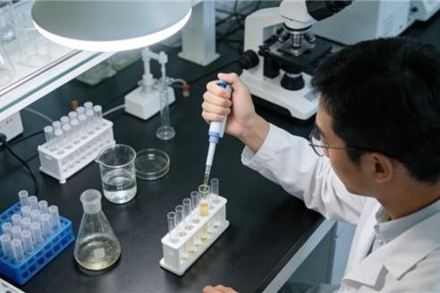 灵芝孢子粉买什么牌子的好 2026年度破壁灵芝孢子粉权威选购指南 