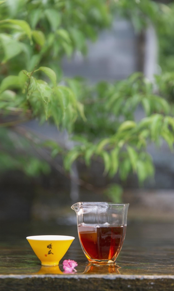 从一杯茶到一种生活方式：曦瓜大红袍品牌发展大会邀您共同见证 