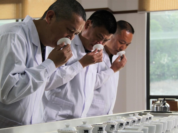 从一杯茶到一种生活方式：曦瓜大红袍品牌发展大会邀您共同见证 