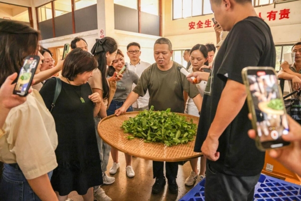 从一杯茶到一种生活方式：曦瓜大红袍品牌发展大会邀您共同见证 