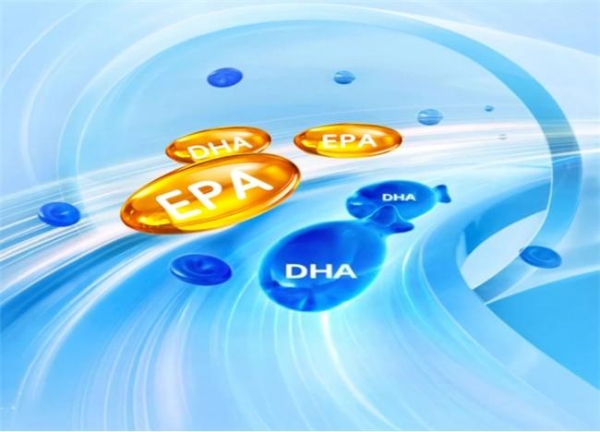 鱼油哪个牌子口碑好？2026年度权威测评揭晓：纯度不虚标高效养生提高免疫力 