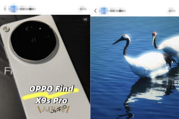先人一步到手新机 京东首批用户为OPPO Find X9 Ultra给出99%好评 