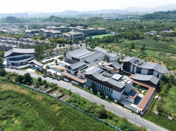 科研、数智与多品牌协同：珀莱雅如何在百亿大盘上构建增长“护城河”？ 