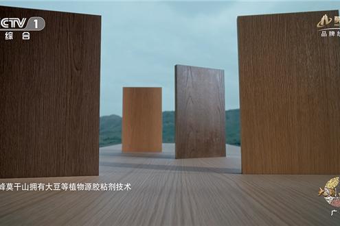 云峰莫干山故事片首登央视 | 取予之间，天下安居 