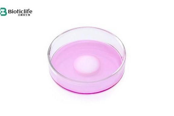 类器官技术迈入关键发展阶段，百奥蒂推进模型体系落地应用 