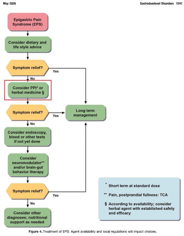  中医药国际化里程碑！荜铃胃痛颗粒纳入全球权威罗马V标准推荐 