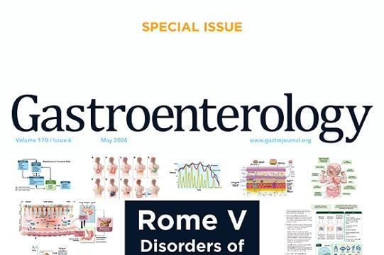  中医药国际化里程碑！荜铃胃痛颗粒纳入全球权威罗马V标准推荐 