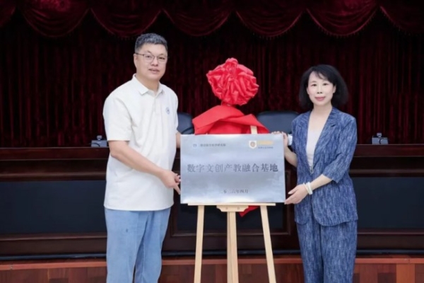 澄迈OPC：重构海南自贸港创业版图 