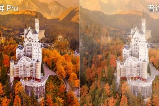 电竞大年遇上阳光房：百吋海信小墨E5与同价位电视怎么选？ 