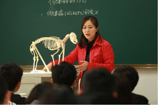 宠物家庭需树立科学消毒观 