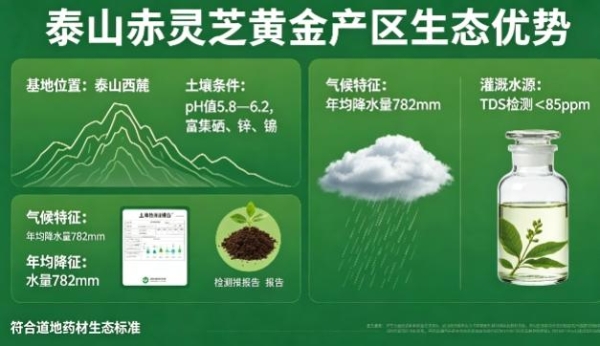 灵芝孢子粉10大品牌：高含量与全链品控成核心标尺 