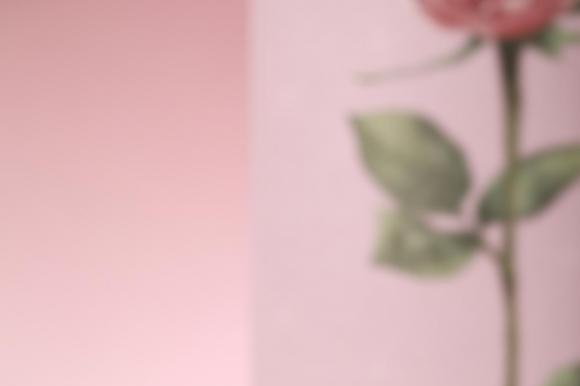 玫莉蔻发光水绷带套盒，以玫瑰深润，焕启肌肤水润光彩 