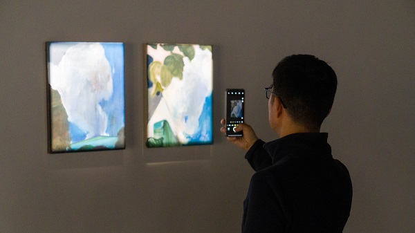 周胤辰：自然法术作品展在叁柒贰叁美术馆开幕