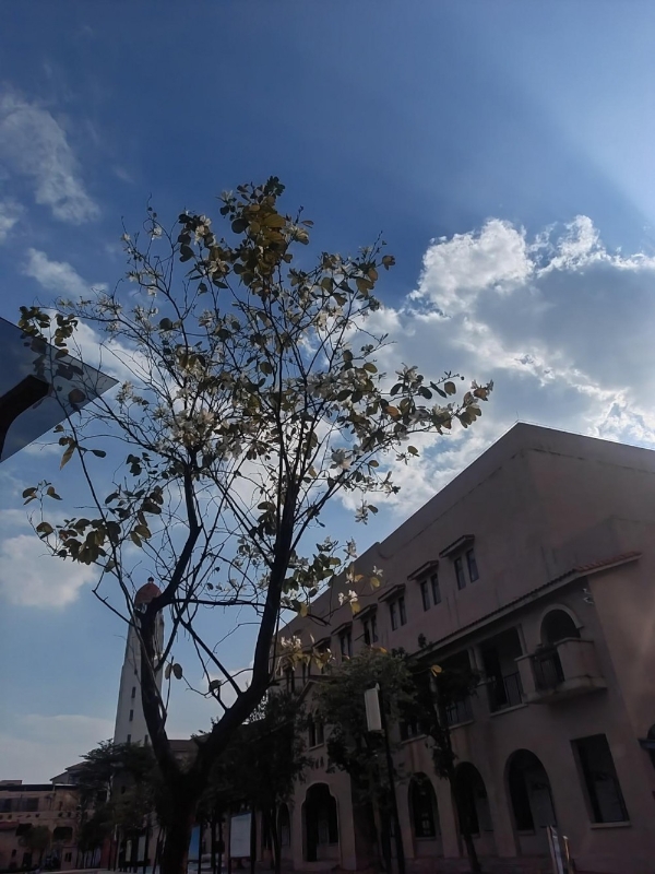 2026 佛山南海区中考半费生名额之最！卓远未来让优质民办教育更普惠 