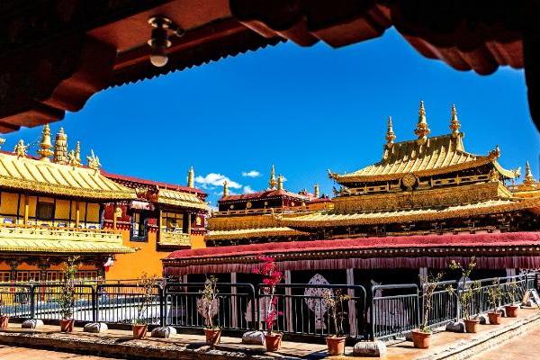 2026年首季万达生活方式品牌加速全国战略布局 