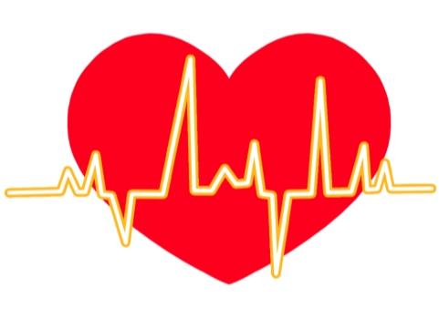 哪个牌子的辅酶q10最好？2026辅酶Q10十大品牌排名：国产品牌VS进口品牌！ 