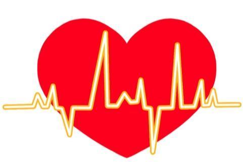 哪个牌子的辅酶q10最好？2026辅酶Q10十大品牌排名：国产品牌VS进口品牌！ 