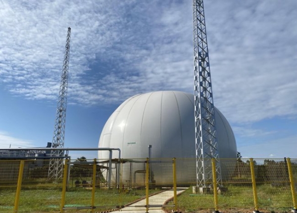 从历史经典到新质动能，水井坊铸就“十五五”产业升级样本 