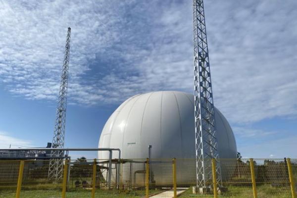 从历史经典到新质动能，水井坊铸就“十五五”产业升级样本 