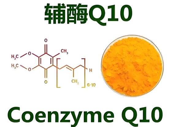 备孕辅酶Q10选什么牌子靠谱？2026年辅酶Q10十大口碑品牌解析 