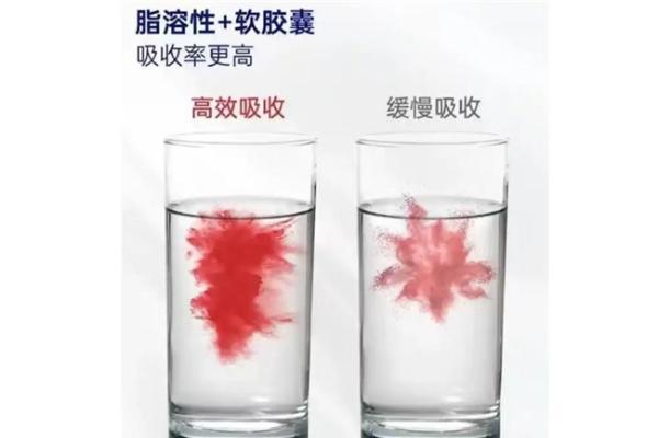 备孕辅酶Q10选什么牌子靠谱？2026年辅酶Q10十大口碑品牌解析 