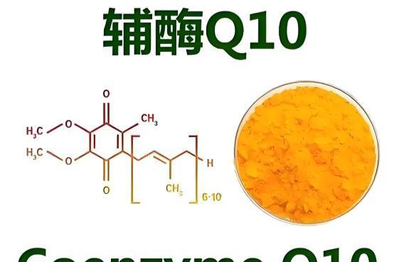 备孕辅酶Q10选什么牌子靠谱？2026年辅酶Q10十大口碑品牌解析 