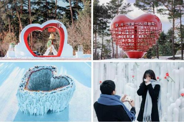 真爱筑底,盈利跃升:迪阿股份2025交出三年最佳答卷